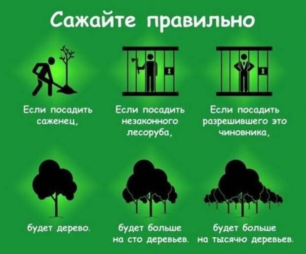 Весёлые картинки с юмором