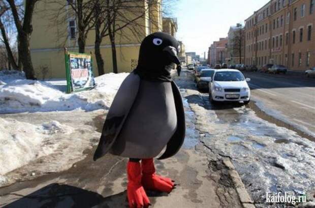 Прикольная Россия - 293 (85 фото)