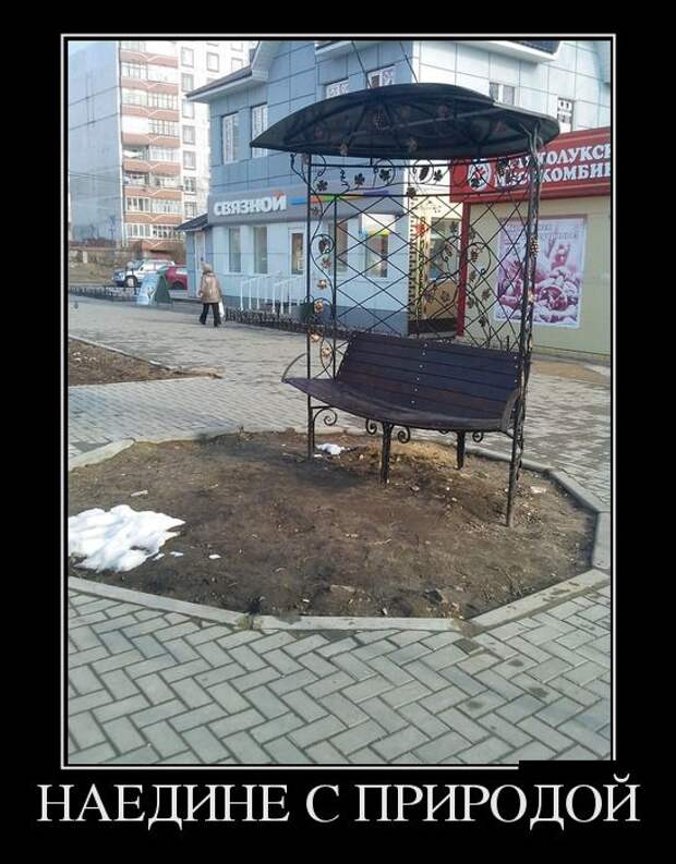 Демотиваторы №1093 (30 фото)