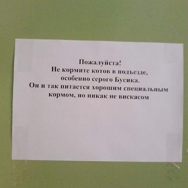 гениальные объявления в подъездах