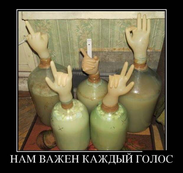 Демотиваторы (30 фото)