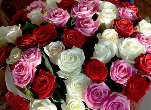 Фото розы, самые красивые цветы, с днем рождения