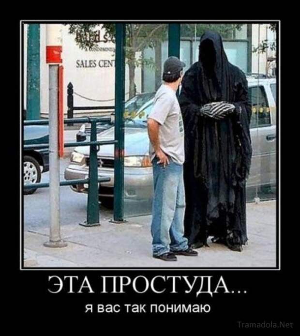 Подборка Демотиваторов №60