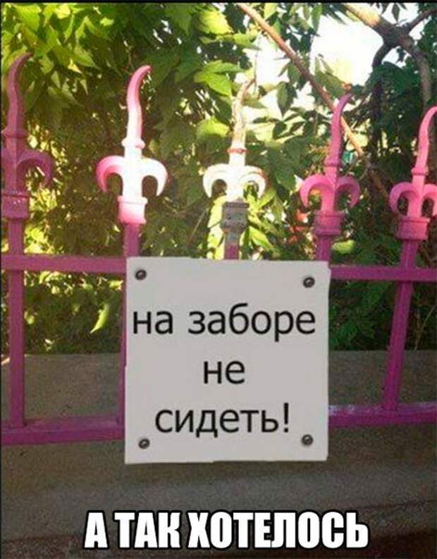 Прикольные фотомемы для хорошего настроения (28 фото)