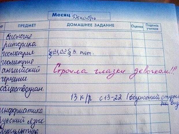 Юмор из школьных дневников (15 фото)