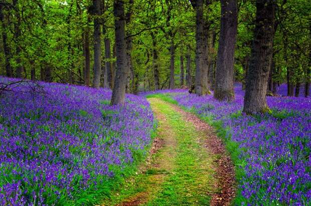 scotland-landscape-photography-15-640x426
