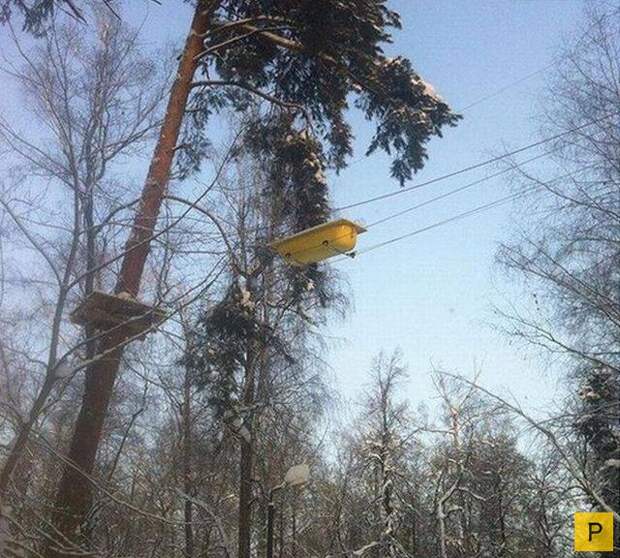Подборка прикольных фотографий, часть 69 (110 фото)