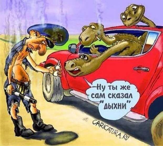 Приколы на автотематику (34 шт)