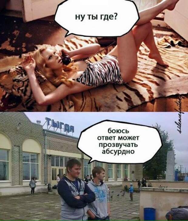 Прикольные картинки (95 фото)