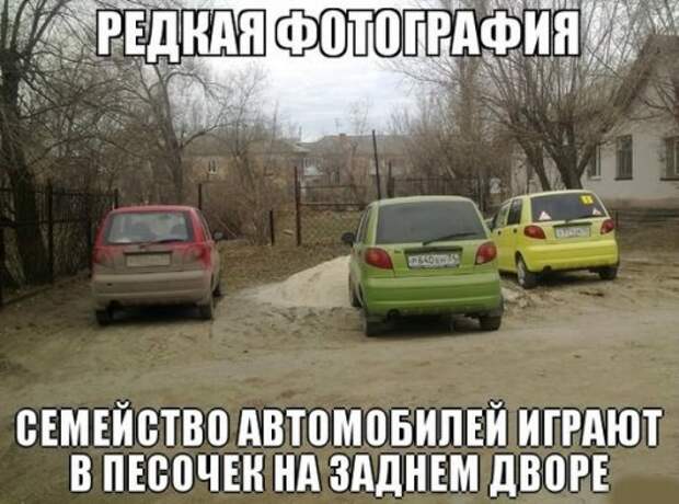 Автоприколы для всех (21 шт)