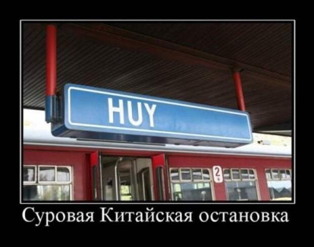 Много разных приколов в демотиваторах.