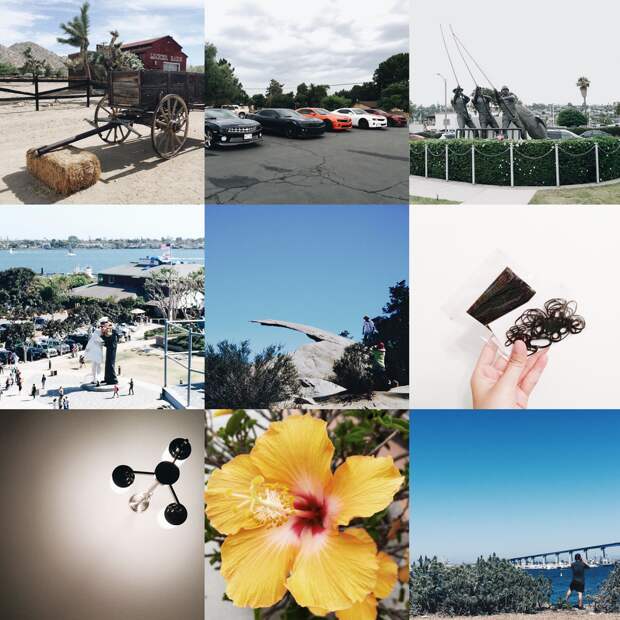 Insta Lately: Vol. 6 | SCATTERBRAIN.png
