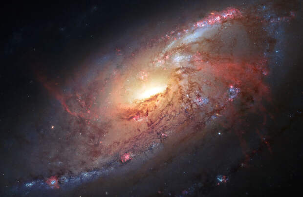 Спиральная галактика M 106 в созвездии Гончие Псы