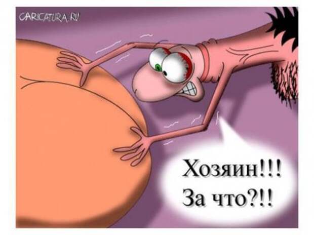 Карикатурки   на " взрослые темы"