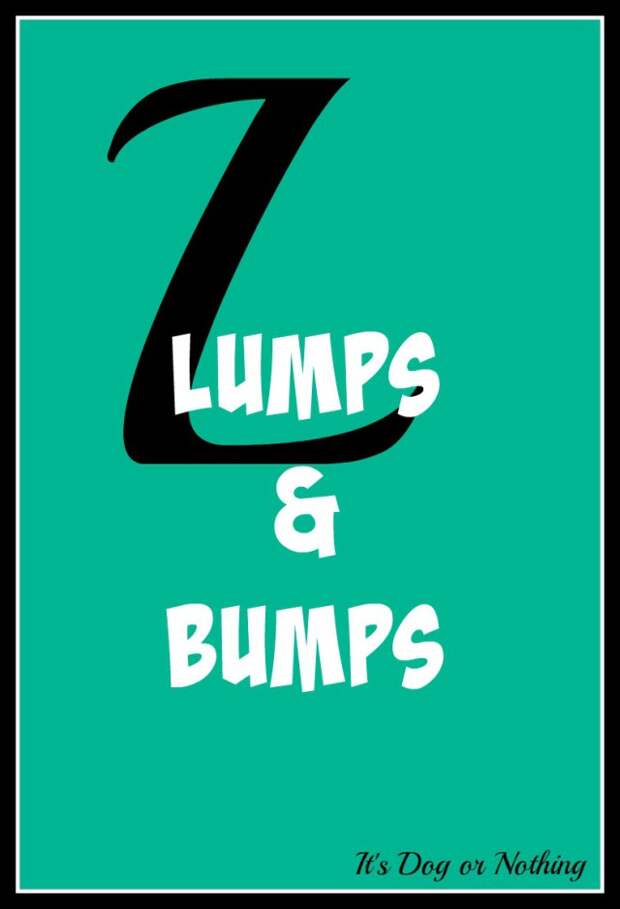 When it comes to giant breed health and nutrition, there's a lot that goes into raising a happy, healthy dog. We're going from A to Z talking about giant breed specific needs! Today, it's all about one of our worst fears - finding lumps and bumps on our dogs.