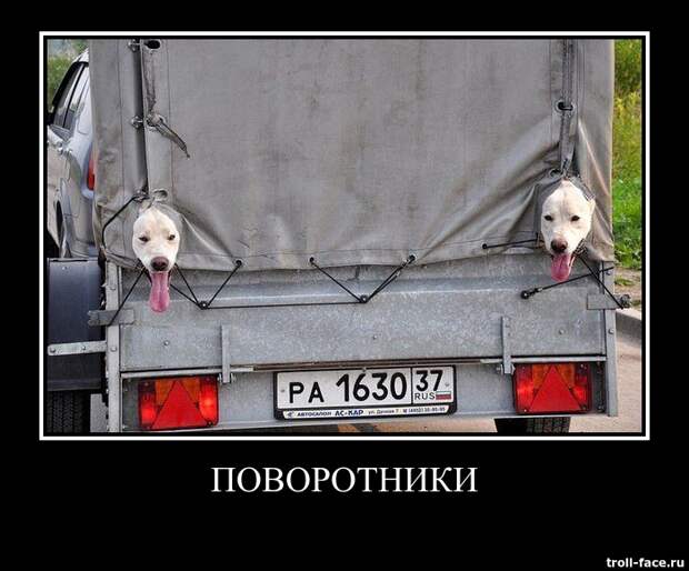 Демотиваторы демотиваторы, позитив