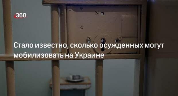 Депутат Рады Костенко: на Украине могут мобилизовать до 10 тысяч осужденных