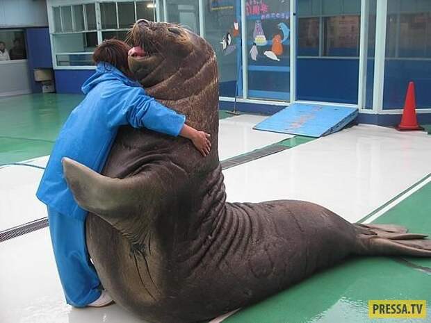 Прикольные фотографии - Субботний выпуск (53 фото)