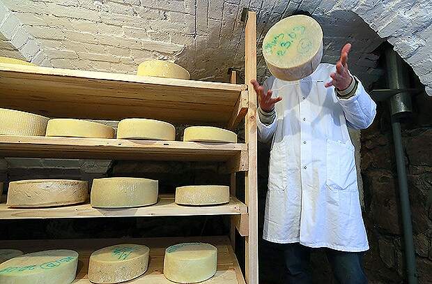 СфальсифиСЫРовали: Что продают под видом сыра отечественные производители СфальсифиСЫРовали: Что продают под видом сыра отечественные производители