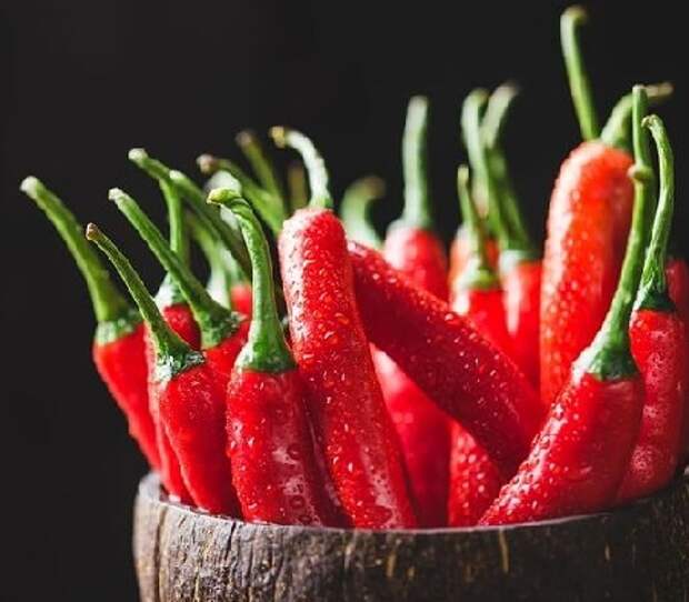 Красный перецъ