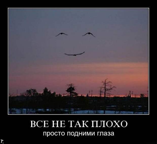 Подборка демотиваторов (84 фото)