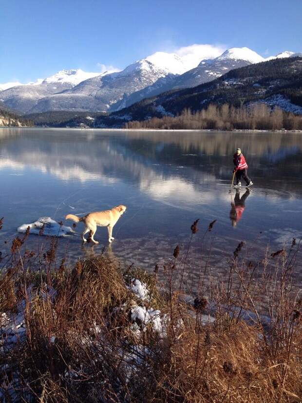 Фотоподборка за 09.12.2013 кадр, прикол, фото, фотоподборка