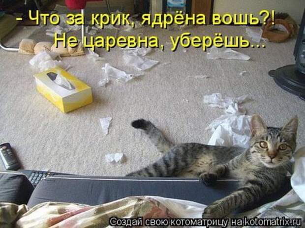 Котоматрица 18