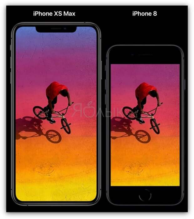 Размеры Сравнение размеров iPhone XR и iPhone 8 Plus