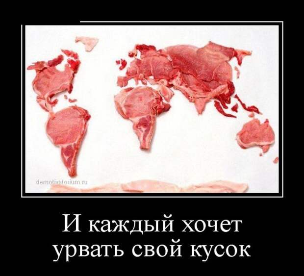 Демотиваторы бревно, демотиваторы, юмор