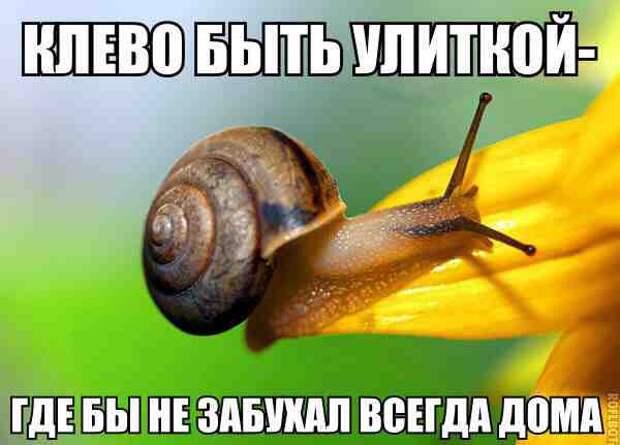 Смешные картинки с надписями прикол, юмор