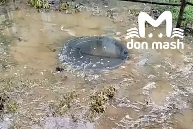 В российском регионе пожаловались на фекальные озера