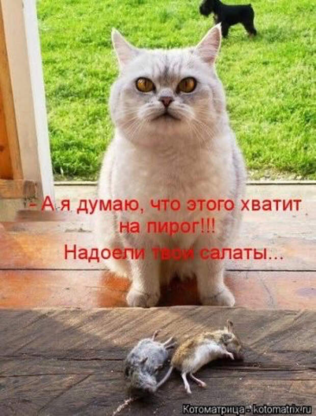 image (365x480, 178Kb)