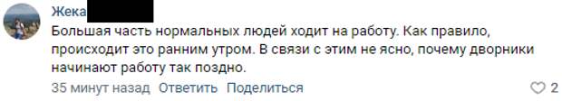 Петербуржцы: «целина» сугробов после снегопада показала, что город почти не убирают