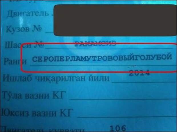 Прикольные надписи и объявления  надписи, объявления, юмор