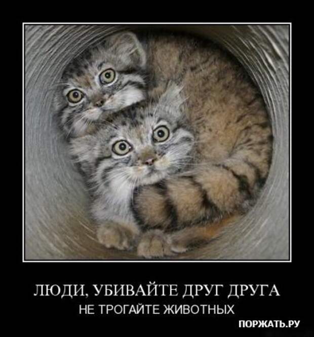 Очередная порция ржачных демотиваторов