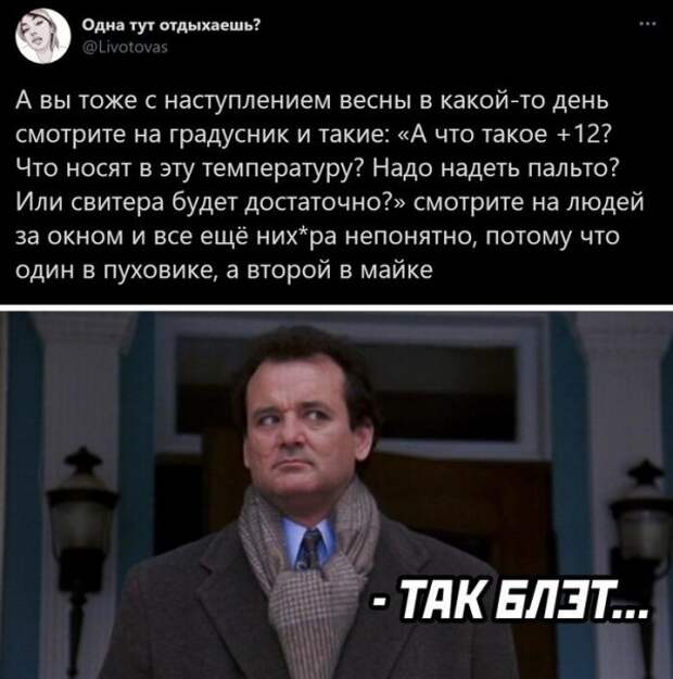Скрины из соцсетей