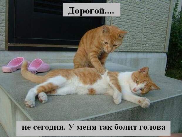 Мысли :) (50мыслей)