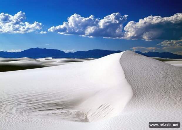 nature_002