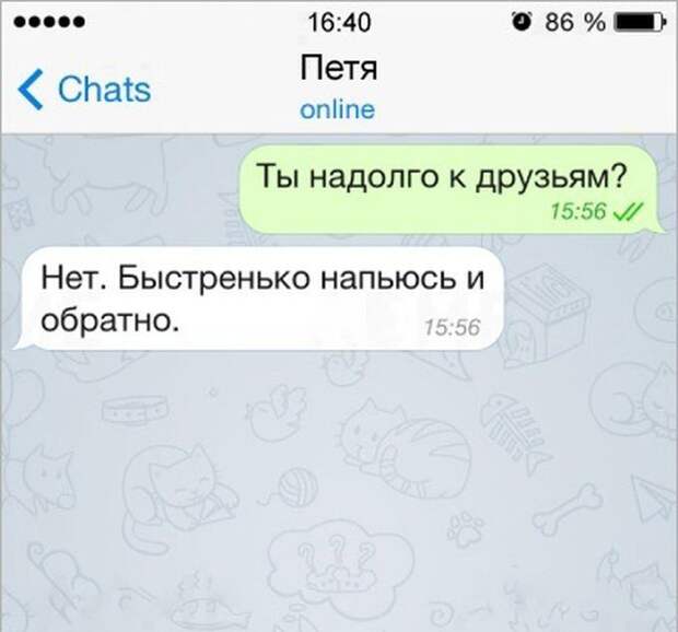 16 жизненных СМС, которые раскроют истину 16 жизненных СМС, которые раскроют истину жизнь, смс, юмор