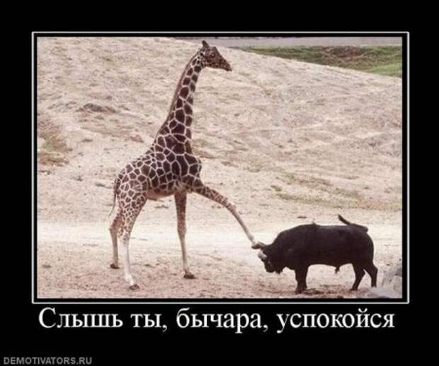 Смешные новые демотиваторы.