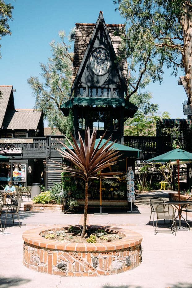 Exploring Laguna Beach-18.jpg