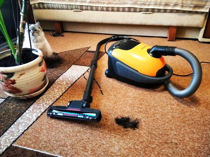 Вещи, из-за которых в квартире всегда будет пыльно, сколько ни убирай