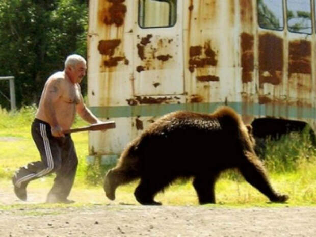 Мужчина прогоняет медведя, который забрался к нему на участок. Мужчина прогоняет медведя, который забрался к нему на участок.