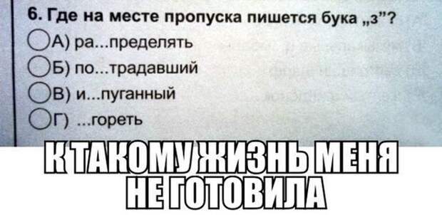 Смешные картинки с подписями  картинки, прикол, юмор