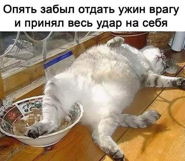 1-33.jpg