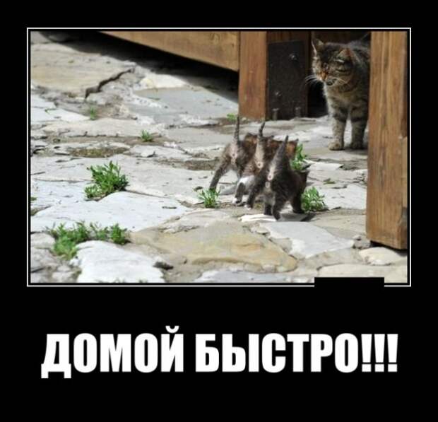 Демотиваторы (30 фото)