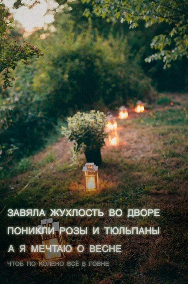 Картинки со смешными подписями картинки, прикол, юмор