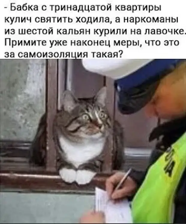 Любовь зла. И козлы этим пользуются.. Любовь зла. И козлы этим пользуются.. После, копали, выяснено, найдены, Теперь, время, раскопок, кусочки, долгих, исследований, может, остатки, теперь, пользовались, женой, овладеть, ребенком, приходится, ворующихВ, занялась