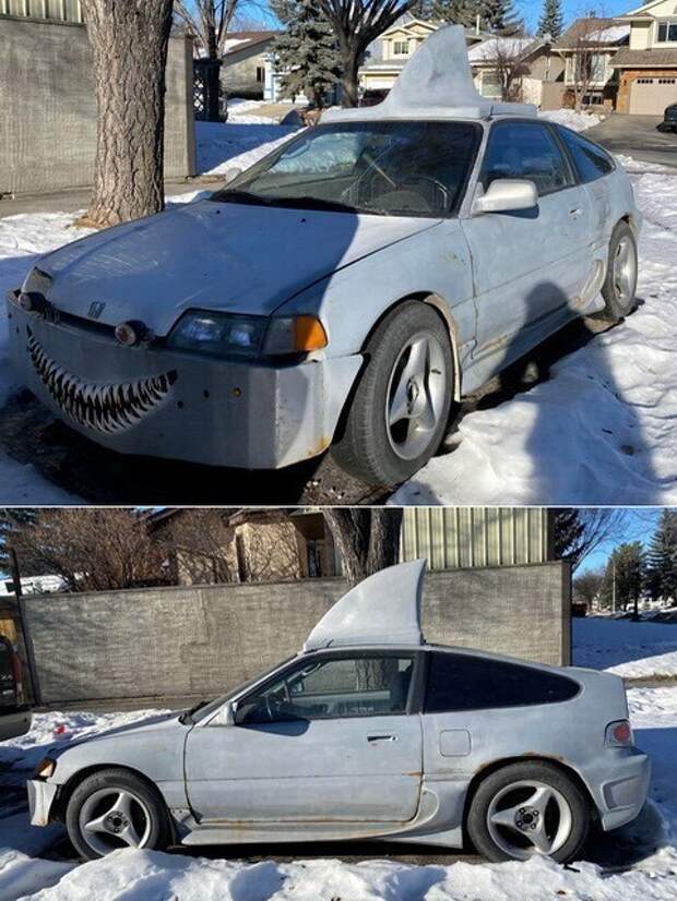 Автовсячина