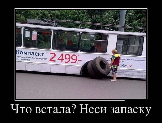 Демотиваторы №1093 (30 фото)